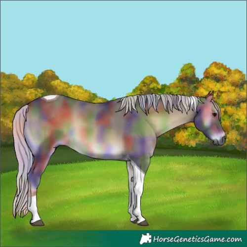 Horse Color:Gray Nacre Silver Smoky Blue Onyx Tobiano 