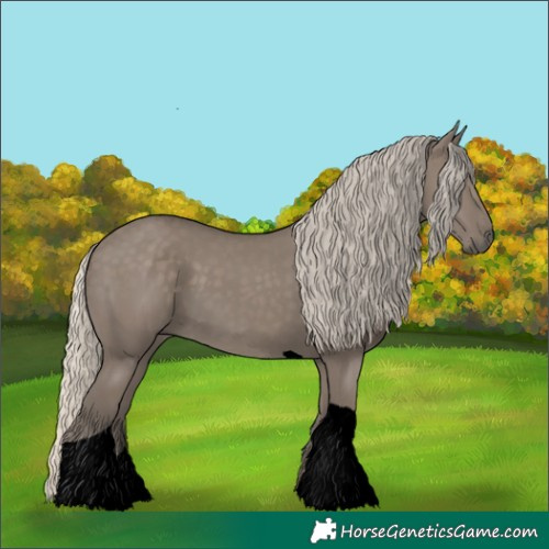 Horse Color:Void Silver Smoky Grullo Tobiano 