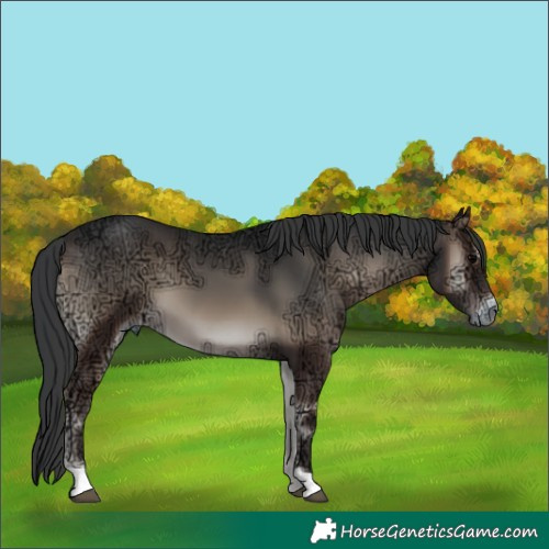 Horse Color:Blue Onyx Ice 