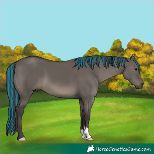 Horse Color:Painted Smoky Grullo 