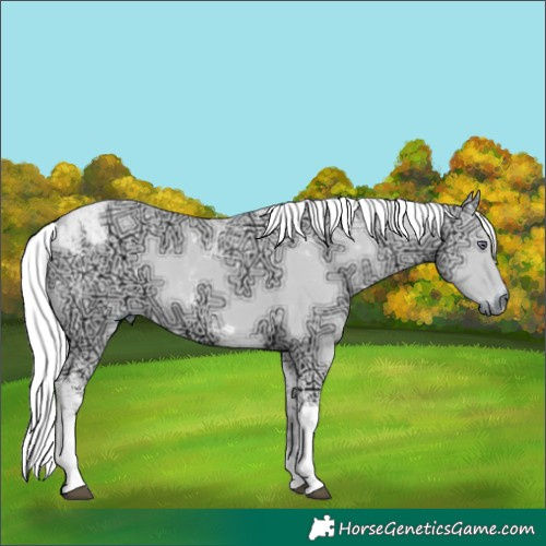 Horse Color:Liver Chestnut Chinchilla Ice Tobiano 