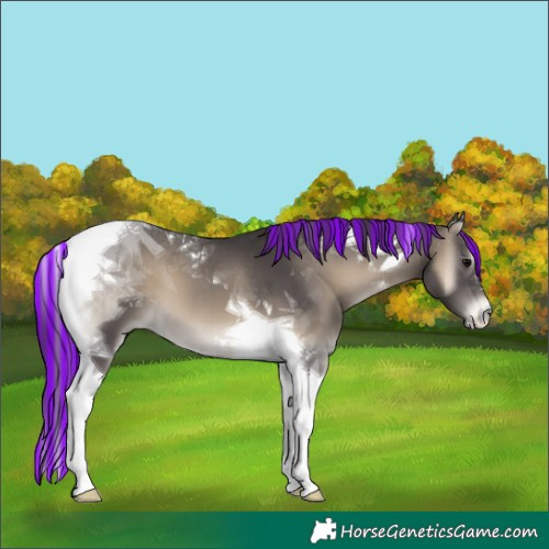Horse Color:Painted Smoky Blue Onyx Tobiano 