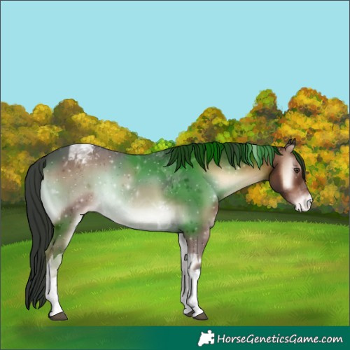 Horse Color:Liver Red Onyx Tobiano Varnish 