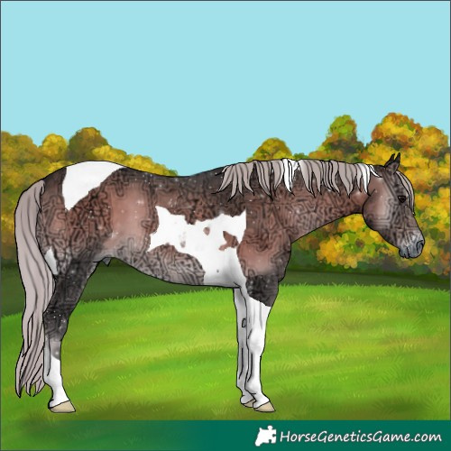 Horse Color:Silver Smoky Blue Onyx Ice Tobiano 