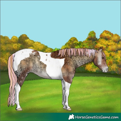Horse Color:Painted Red Onyx Ice Tobiano Varnish Rabicano 