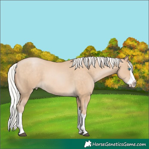 Horse Color:Silver Buckskin Pearl Splash 