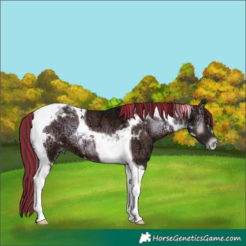 Horse Color:Painted Liver Red Onyx Ice Tobiano 