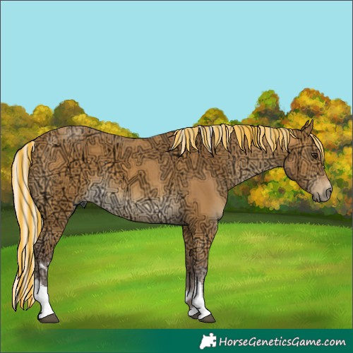 Horse Color:Painted Chocolate Silver Buckskin Ice Tobiano 