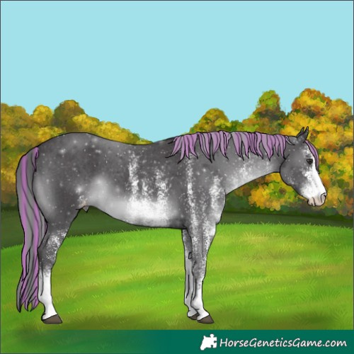 Horse Color:Painted White Spotted Smoky Black Chinchilla Varnish 