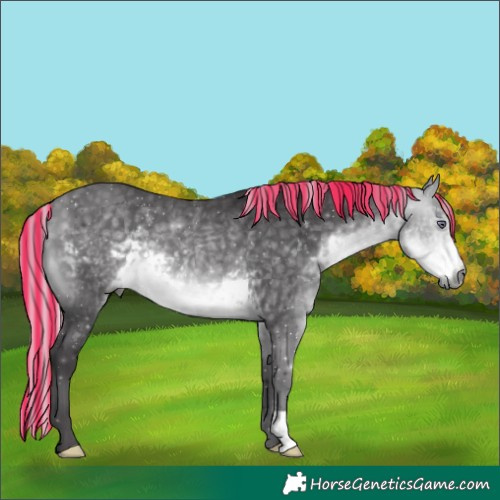 Horse Color:Painted Silver Buckskin Chinchilla