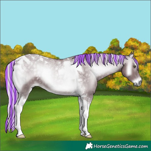 Horse Color:Painted Chocolate Silver Blue Onyx Chinchilla Tobiano