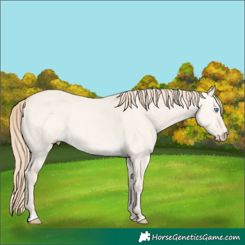 Horse Color:Perlino Dun
