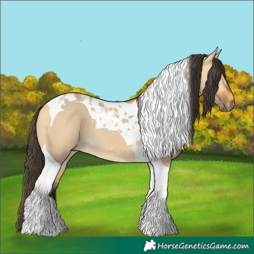 Horse Color:Buckskin Dun Tobiano 