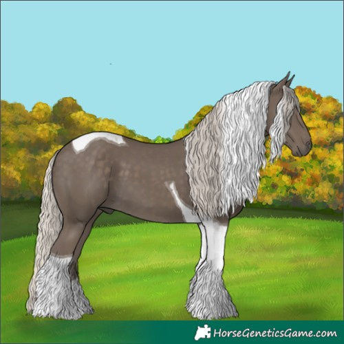 Horse Color:Silver Smoky Black Tobiano 