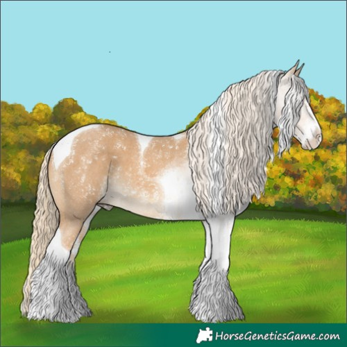Horse Color:Palomino Sabino Tobiano 