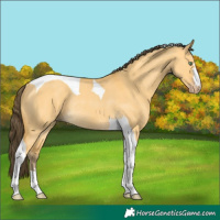 Horse Color:Amber Cream Champagne Dun Tobiano Rabicano