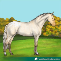 Horse Color:Silver Buckskin Roan Dun Blanket Rabicano 