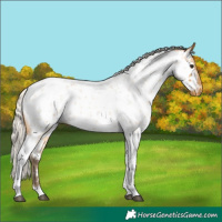 Horse Color:Silver Buckskin Roan Tobiano Near Leopard