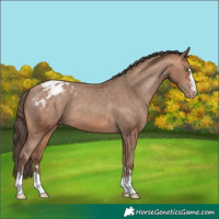 Horse Color:Sable Champagne Varnish 