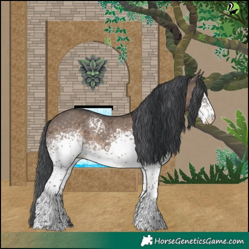 Horse Color:White Spotted Brown Dun Merle Tobiano