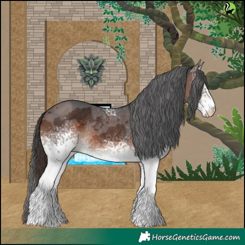 Horse Color:White Spotted Brown Merle Rabicano