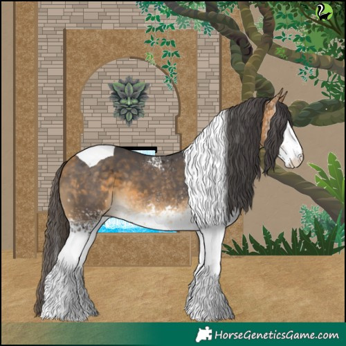 Horse Color:White Spotted Buckskin Merle Tobiano