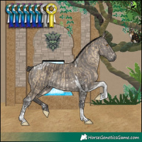 Horse Color:Buckskin Dun Merle Tobiano Rabicano and Smoky Grullo Merle Tobiano Rabicano