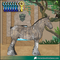 Horse Color:Buckskin Dun Merle Tobiano Rabicano  and Smoky Grullo Merle Tobiano Rabicano 