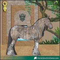 Horse Color:Buckskin Dun Merle Tobiano Rabicano  and Smoky Grullo Merle Tobiano Rabicano 