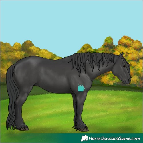 Horse Color:White Spotted Black 