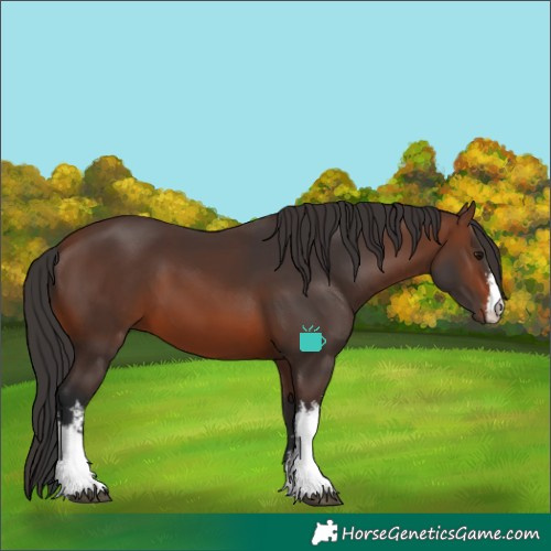 Horse Color:White Spotted Brown 