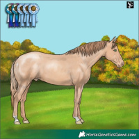 Horse Color:Gold Champagne Skewed LP Spotted 