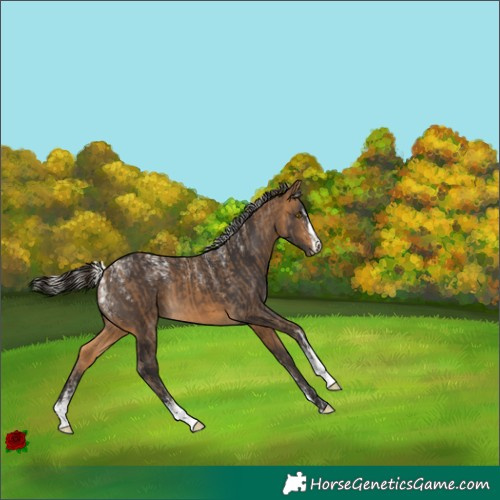 Horse Color:Powder White Silver Buckskin  and Powder White Buckskin 