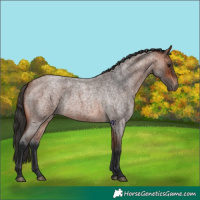 Horse Color:Bay Roan