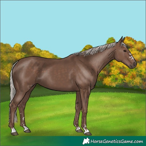 Horse Color:Silver Black 