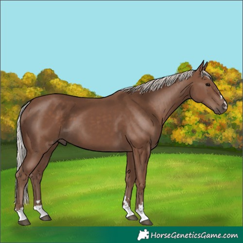 Horse Color:Silver Black 