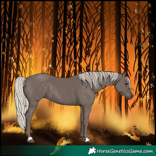 Horse Color:Silver Black