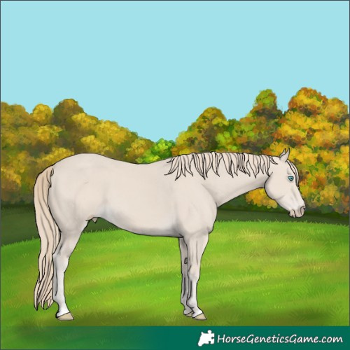Horse Color:Smoky Creme 