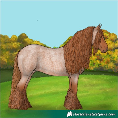 Horse Color:Red Roan 