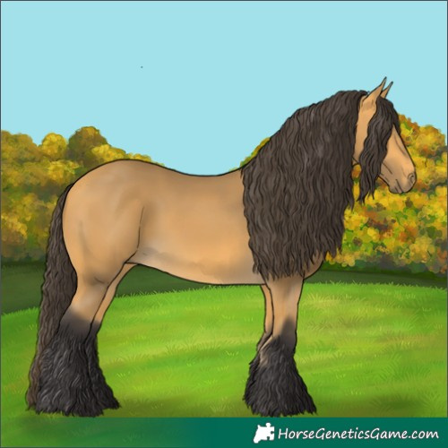 Horse Color:Buckskin