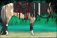 Horse Color:White Spotted Bay Dun