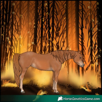 Horse Color:Chestnut Rabicano