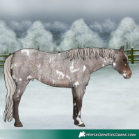 Horse Color:White Spotted Silver Brown Roan Varnish