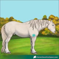 Horse Color:Smoky Creme 