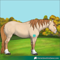 Horse Color:Red Dun 