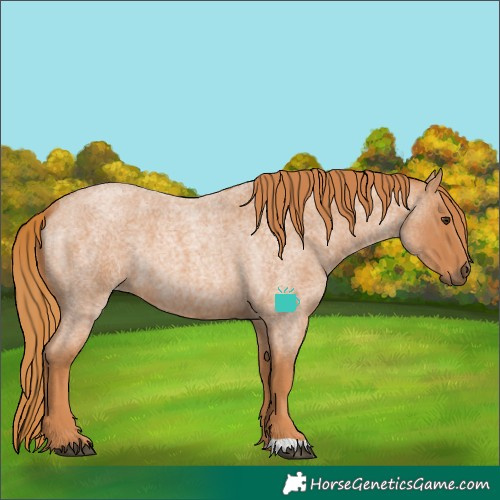 Horse Color:Red Roan