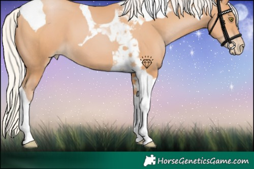 Horse Color:Silver Bay Pearl Tobiano 