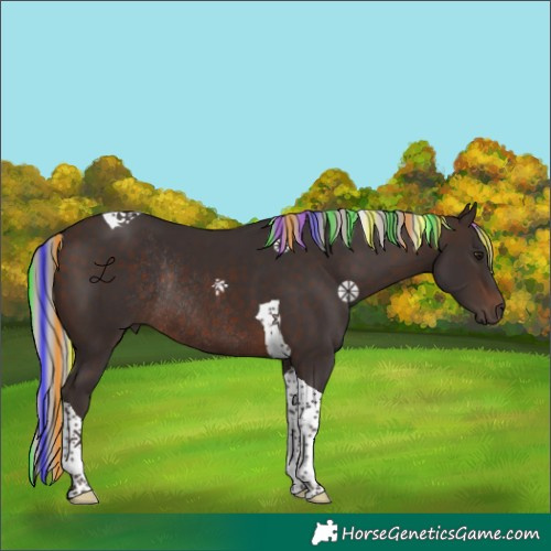 Horse Color:Painted Silver Brown Tobiano Rabicano 