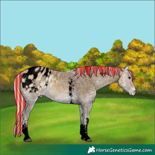 Horse Color:Void Painted Silver Buckskin Ice Onyx Sabino Blanket 