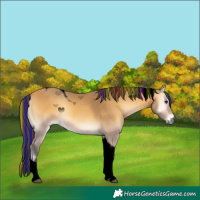 Horse Color:Void Painted Buckskin Onyx Tobiano 